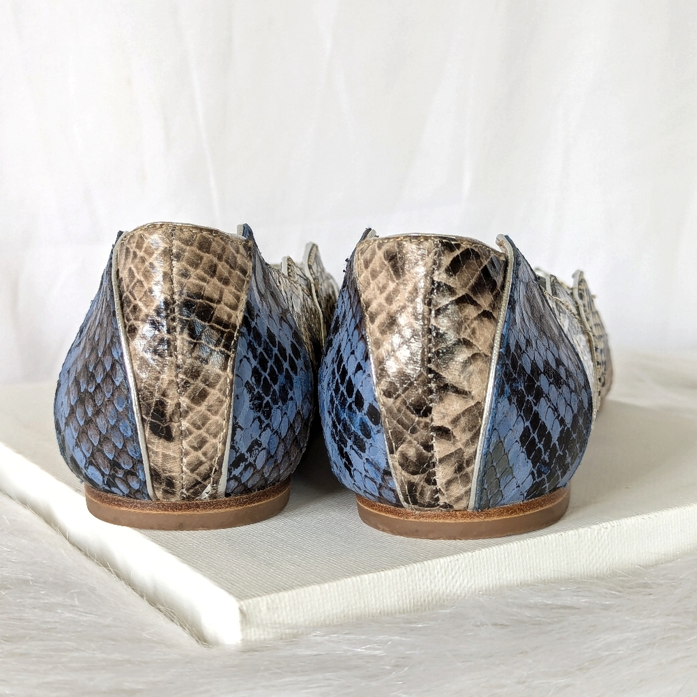 Daniblack Shoes - Picture 6 of 12